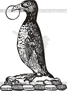 Guillemot with a ring - vector clipart