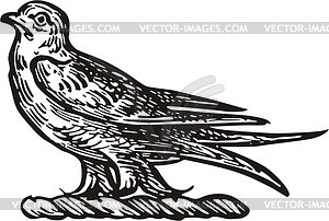 Bird crest - vector clipart