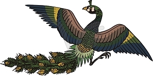 Chinese peacock design - vector clipart