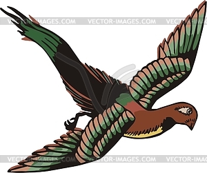 Bird - vector image