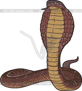 Cobra - royalty-free vector clipart