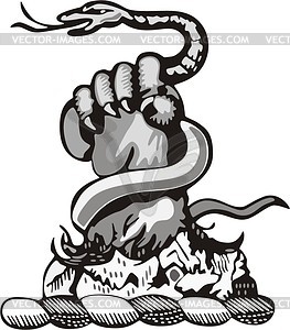 Foot - vector clipart / vector image