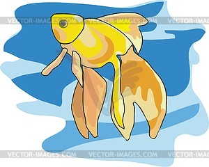 Goldfish - vector clip art