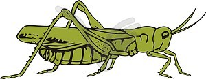 Grasshopper - vinyl EPS vector clipart