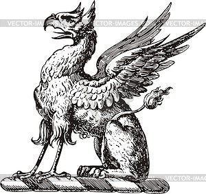 Gryphon - vector image