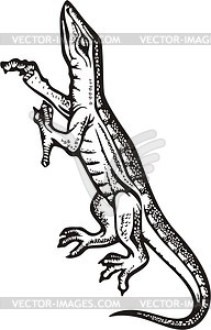 Lizard - vector clip art