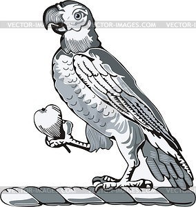 Parrot - vector clip art