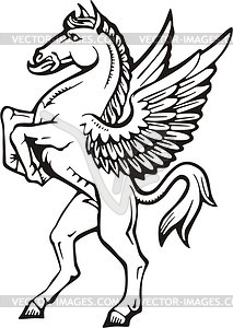 Winged horse - vector image