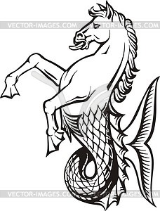 Sea horse - vector image