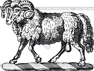 Sheep - vector image
