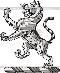 Tiger - vector image