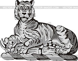 Tiger - vector image