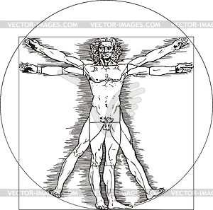 Vitruvian Man engraving by Leonardo da Vinci - vector clipart