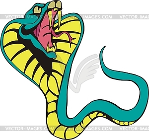 Cobra - vector clip art