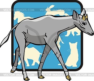 Antelope - vector image