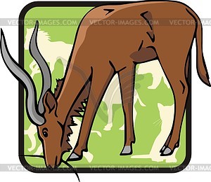 Antelope - vector clipart