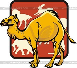 Camel - vector clip art