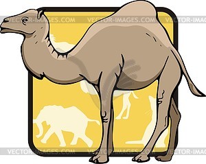 Camel - vector clipart