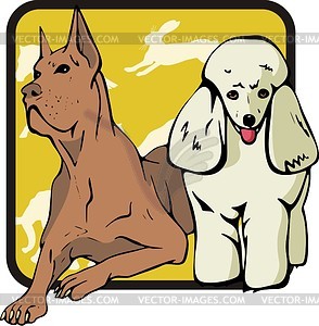 Dogs - color vector clipart