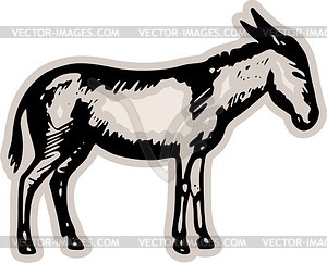 Donkey - vector clip art