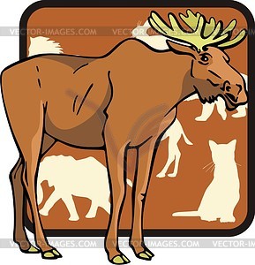 Moose - vector image