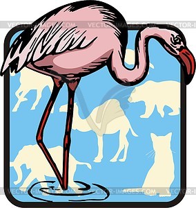 Flamingo - vector clipart