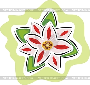 Flower - vector image