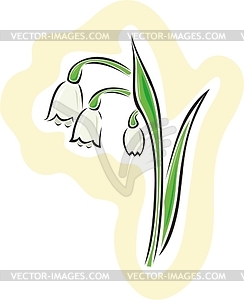 Lily of the valley - vector clipart