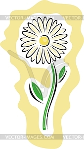 Camomile - color vector clipart