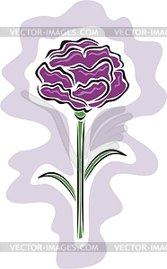 Carnation - vector image