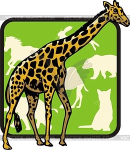 Giraffe - vector clipart