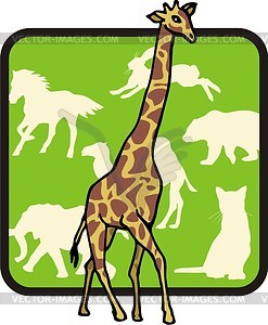 Giraffe - vector clip art