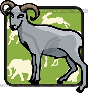 Goat - royalty-free vector image