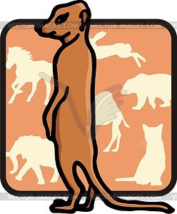 Meerkat - vector image