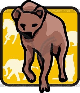 Hyena - color vector clipart