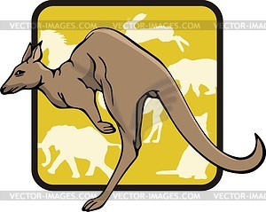 Kangaroo - vector clipart