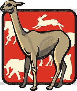 Llama - vector clipart