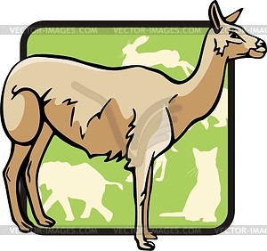 Llama - vector clipart