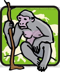 Monkey - vector clipart