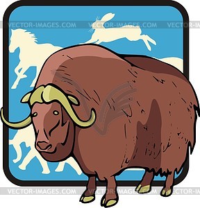 Musk-ox - vector image