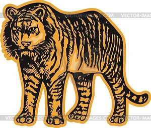 Tiger - vector image