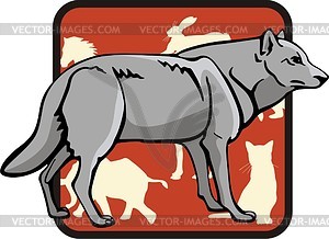 Wolf - vector image