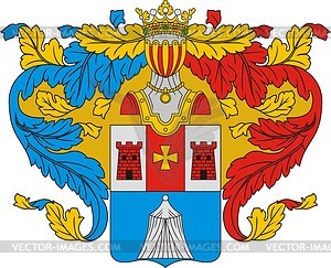 Brusilov, family coat of arms - vector clipart