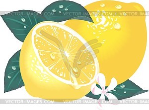 Lemon - vector clip art