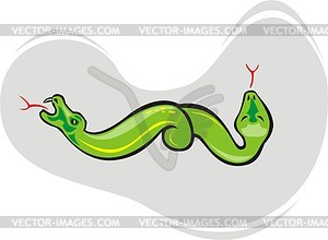 Amphisbaena - vector clipart