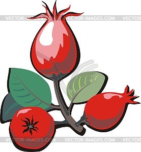 Briars - vector clipart