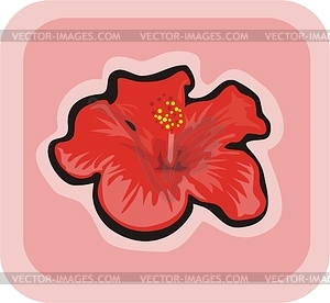 Hibiscus - vector clip art