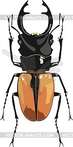 Beetle Odontolabis ludekingi - vector clipart