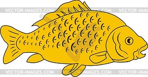 Fish - vector image