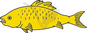 Fish - vector image